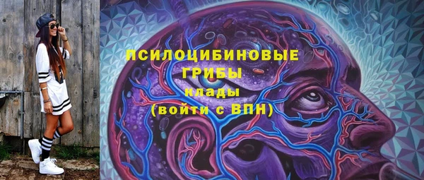МДПВ Осташков