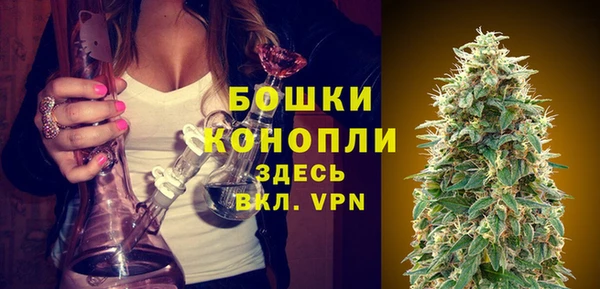 МДПВ Осташков