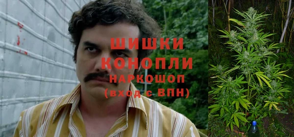 МДПВ Осташков