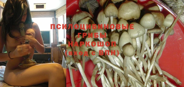 винт Остров