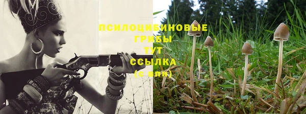 винт Остров