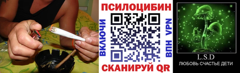 Псилоцибиновые грибы MAGIC MUSHROOMS  даркнет сайт  Сосновый Бор 