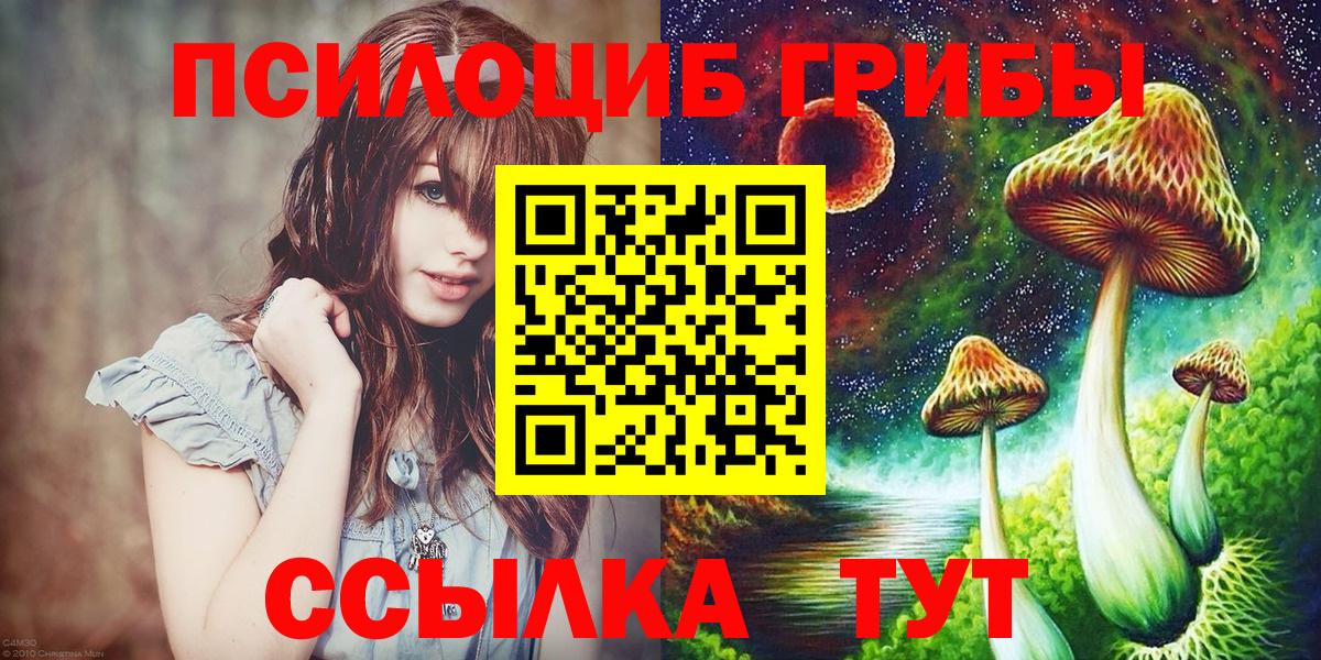 Галлюциногенные грибы прущие грибы Сосновый Бор