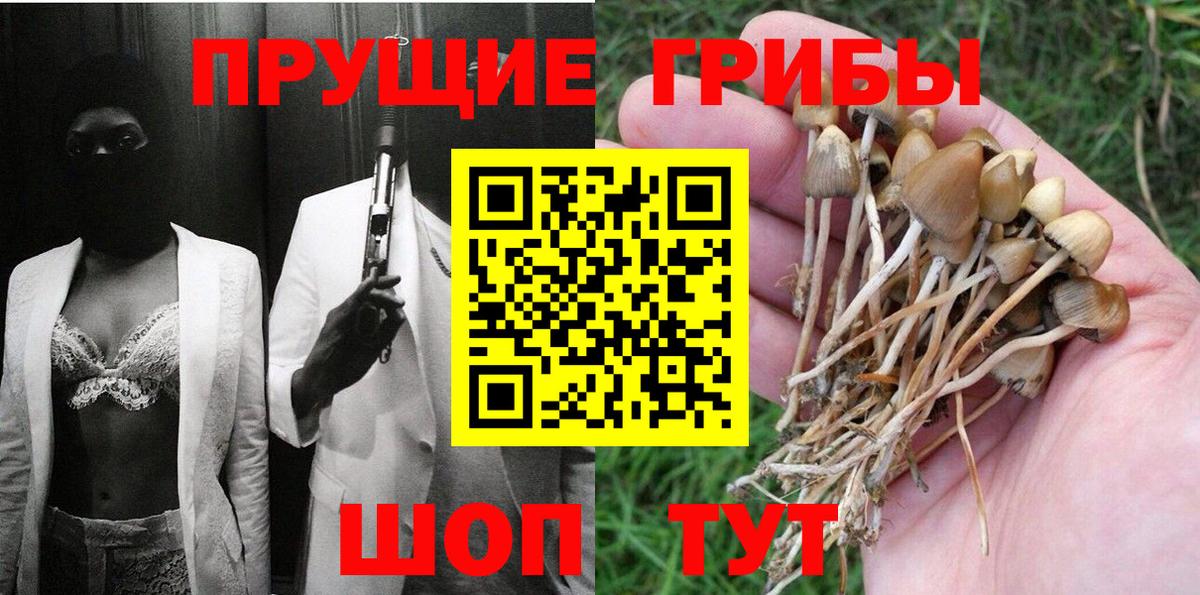 купить  сайты  Псилоцибиновые грибы MAGIC MUSHROOMS  Вход с VPN  Сосновый Бор  Псилоцибиновые грибы Cubensis 