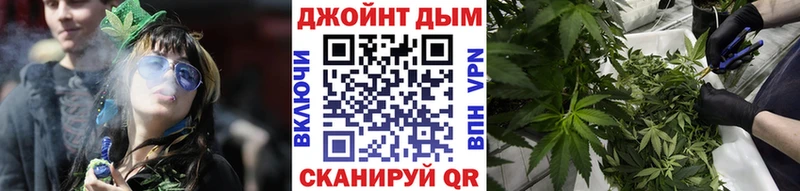 как найти   Сосновый Бор  МЕГА зеркало  Канабис тримм 